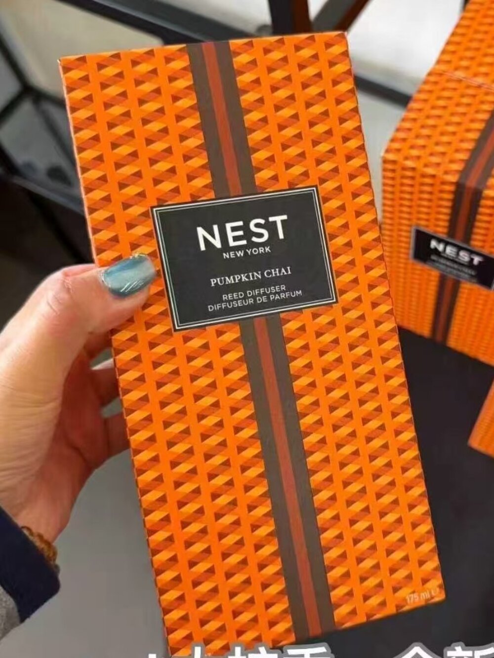 NIB NEST Pumpkin Chai Reed Diffuser